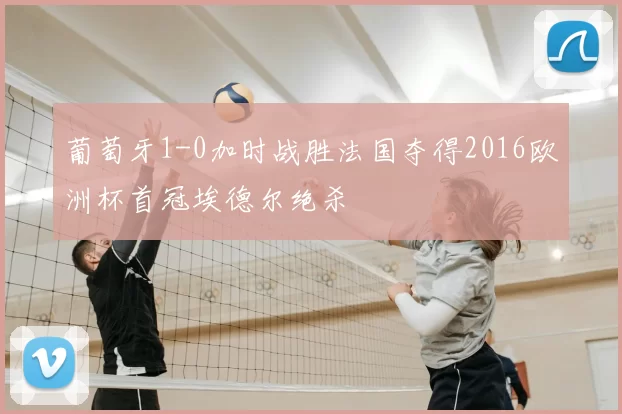 葡萄牙1-0加时战胜法国夺得2016欧洲杯首冠埃德尔绝杀