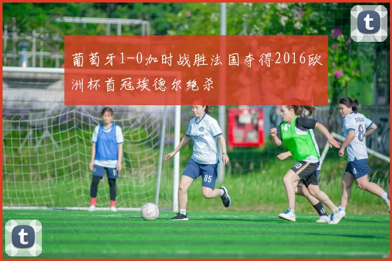 葡萄牙1-0加时战胜法国夺得2016欧洲杯首冠埃德尔绝杀